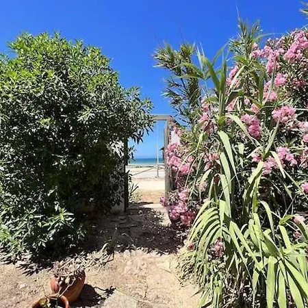 Casa Del Mar En Primera Linea De Playa El Palmar Cadix