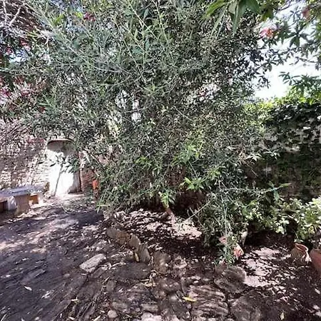 בית נופש Casa Del Mar En Primera Linea De Playa El Palmar *