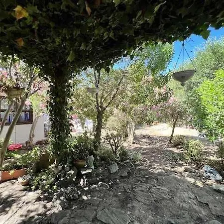 Prázdninový dům Casa Del Mar En Primera Linea De Playa El Palmar Cádiz