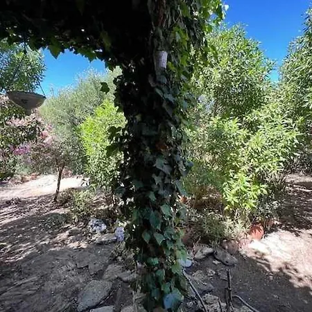 Casa Del Mar En Primera Linea De Playa El Palmar קדיז